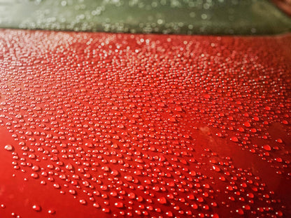 PRODIGY - Hybrid SiO2 Wet Coat Sealant